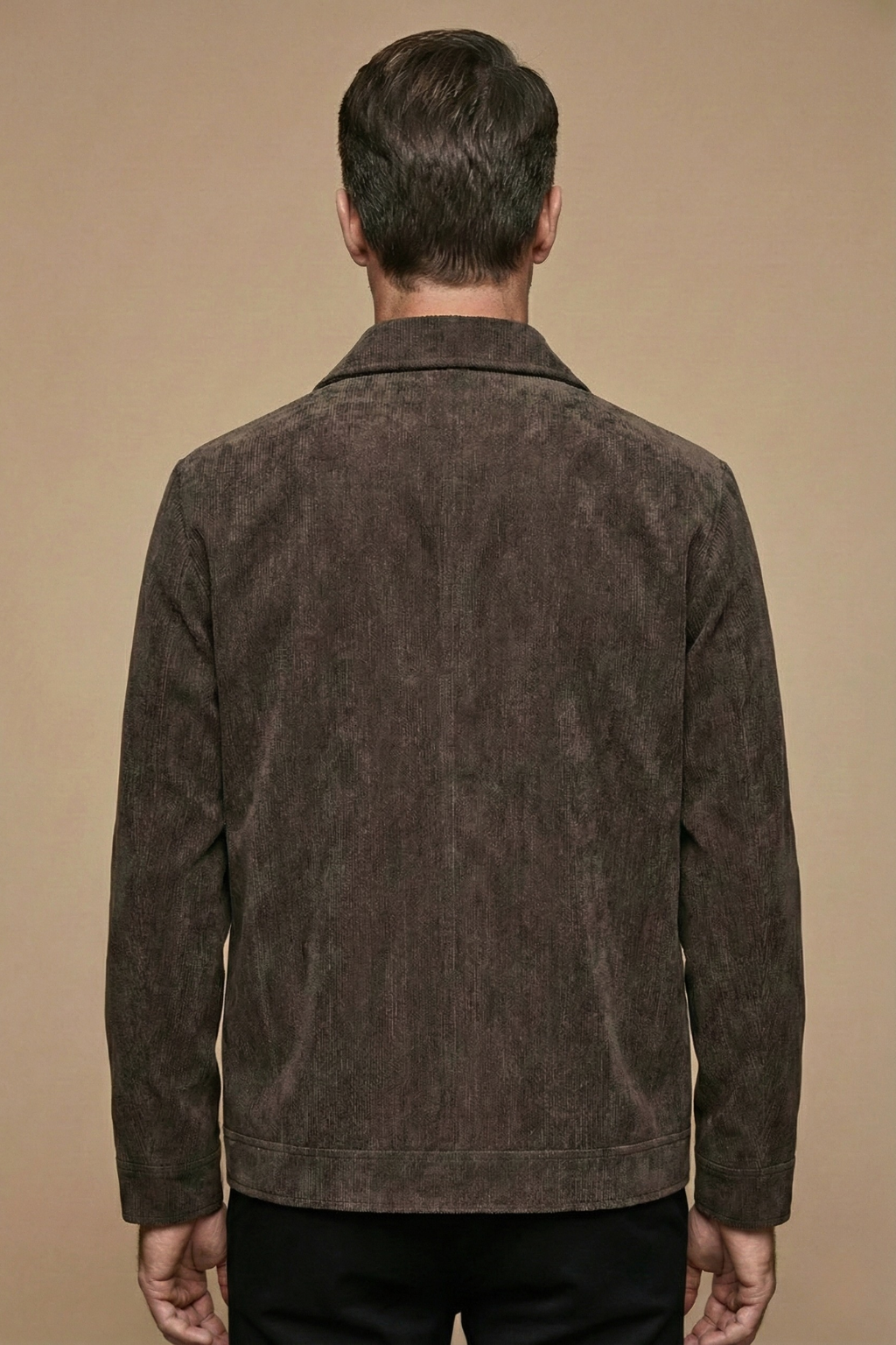 Men's Zip Front Jacket Classic Collar Panel Seam Detail Casual Smart